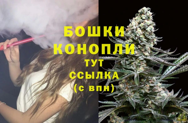 PSILOCYBIN Арсеньев